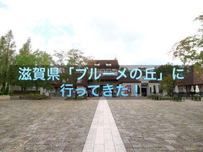 ブルーメの丘の感想