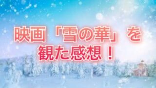 映画 雪の華 を観てきた感想 微妙だった 突っ込みたくなる映画 ネタバレ有